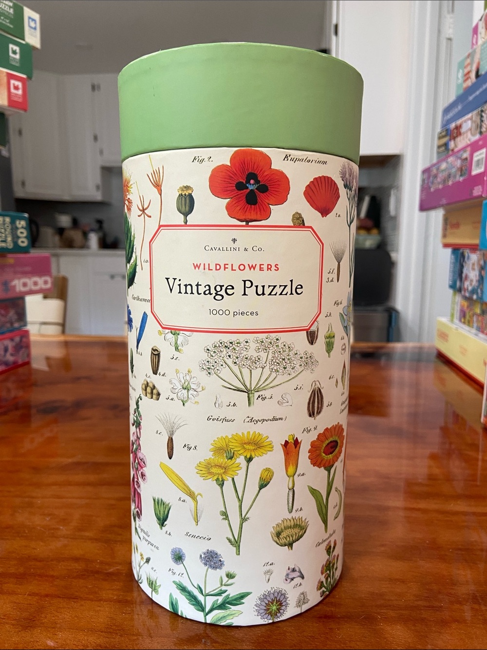Cavallini & Co. Wildflowers - 1000 Piece Puzzle
